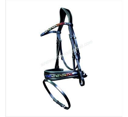 Leather Bridle 